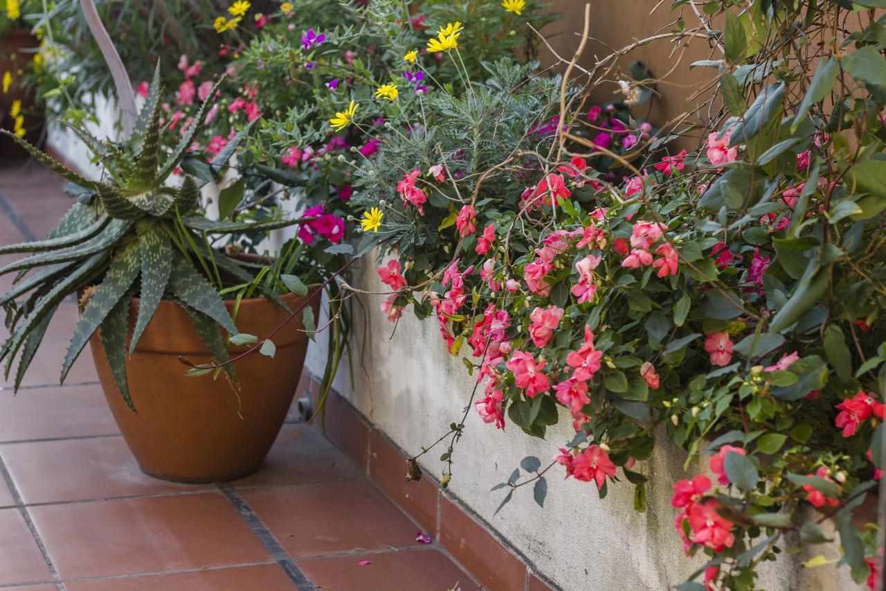 Abode Buenos Aires Bed & Breakfast Bagian luar foto